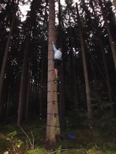 Adventure Trophy 295